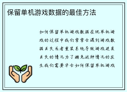 保留单机游戏数据的最佳方法